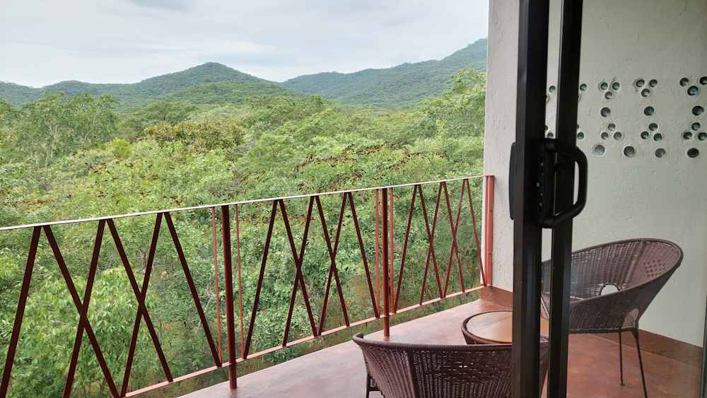 Expansive balcony overlooking the serene bush