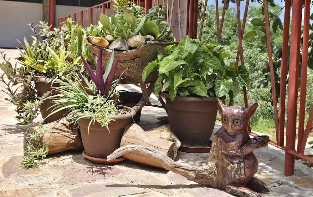 Unique decorative touches