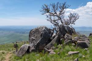 Mountainous Nyanga