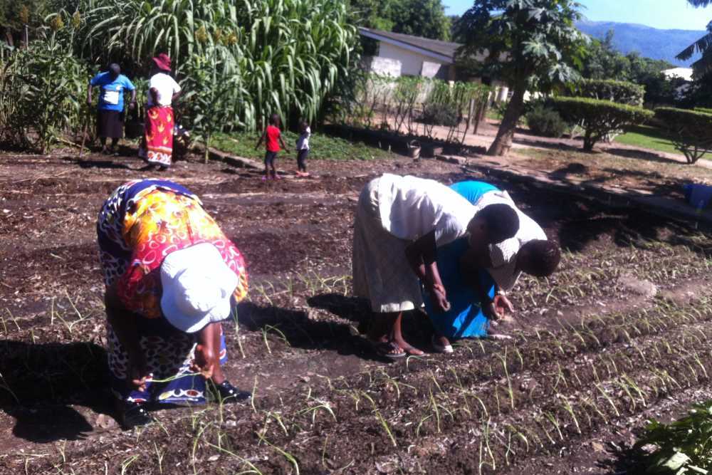 The agricultural course. is a fundamental part of the project