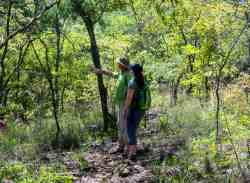 Walks on Musangano grounds