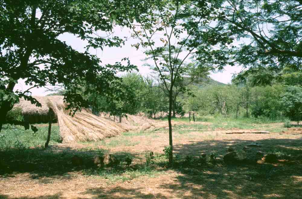 Reception & Restaurant area in 1994