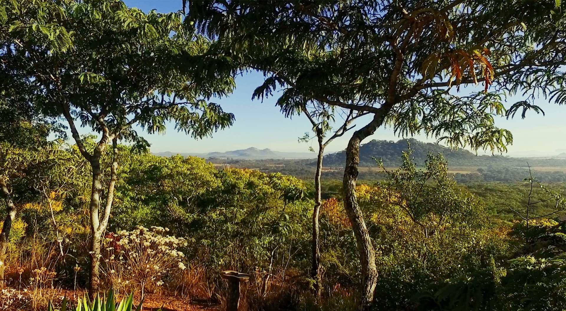 Main Picture of Musangano Lodge